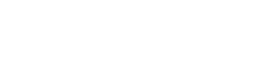 Mestre Ananda Prem